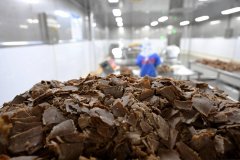 这就好像此前顺德鱼保存正在寄生虫问题